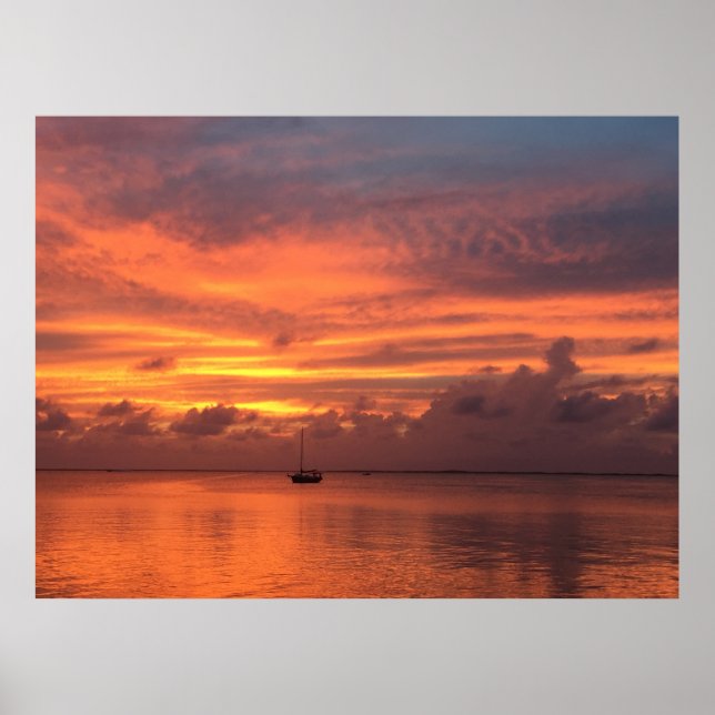 Everglades Sunset Poster (Vorne)