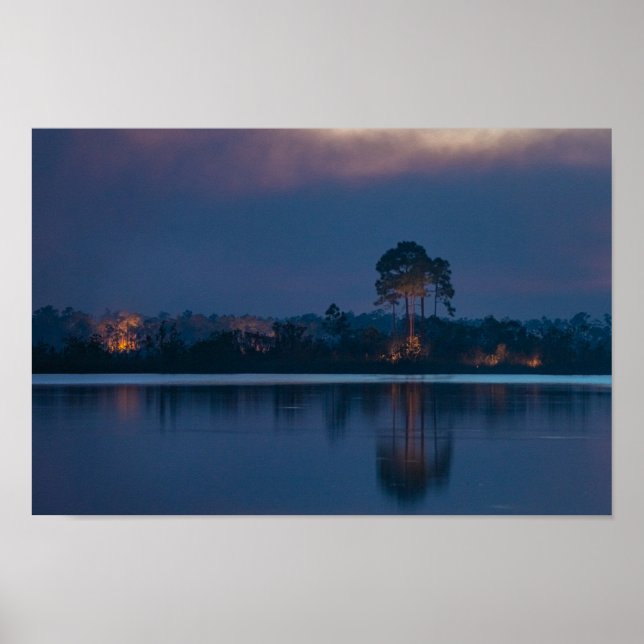 Everglades Wildfire Poster (Vorne)