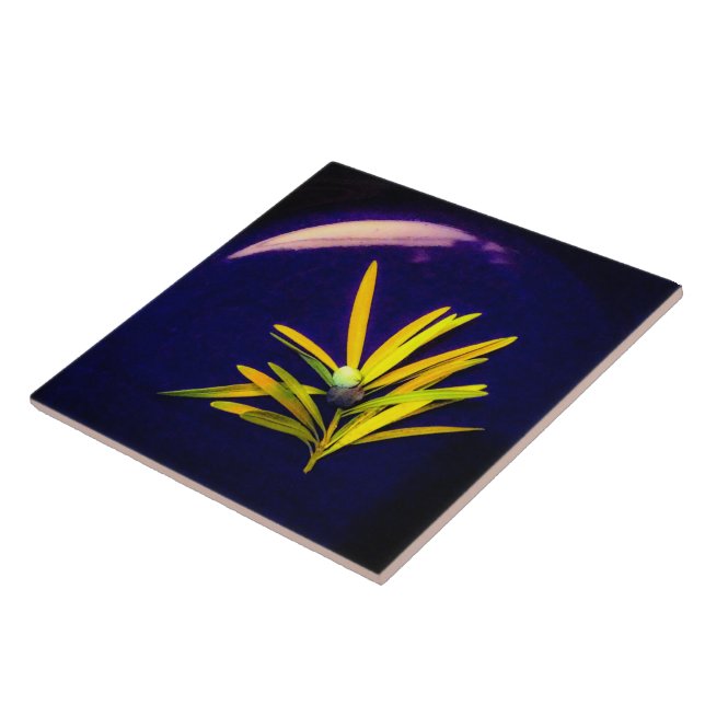 Evergreen auf Blue Keramik Tile Fliese (Seite)