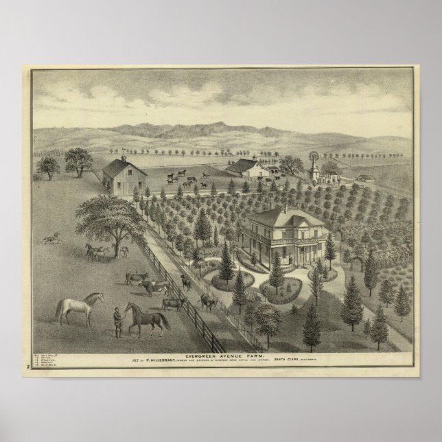 Evergreen Ave Farm Poster (Vorne)