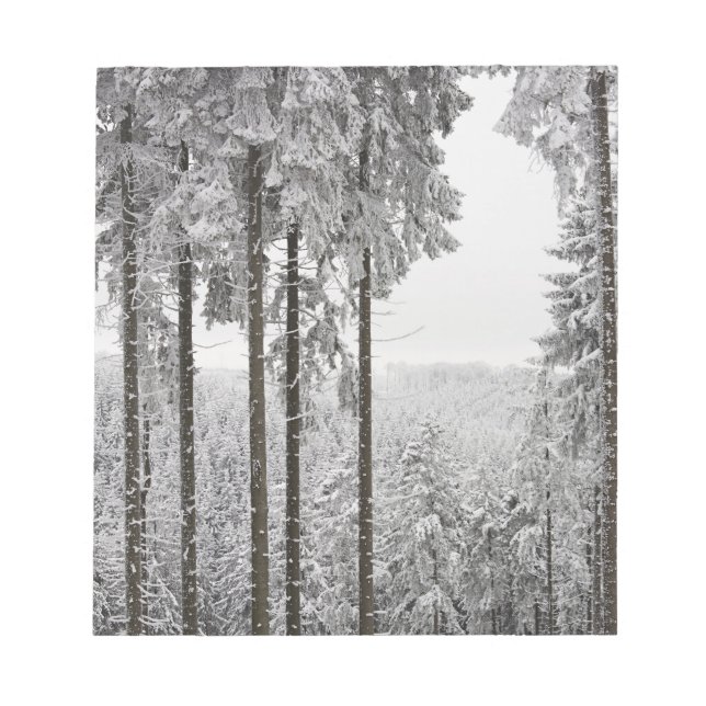 Evergreen forest im Winter Notizblock (Vorderseite)
