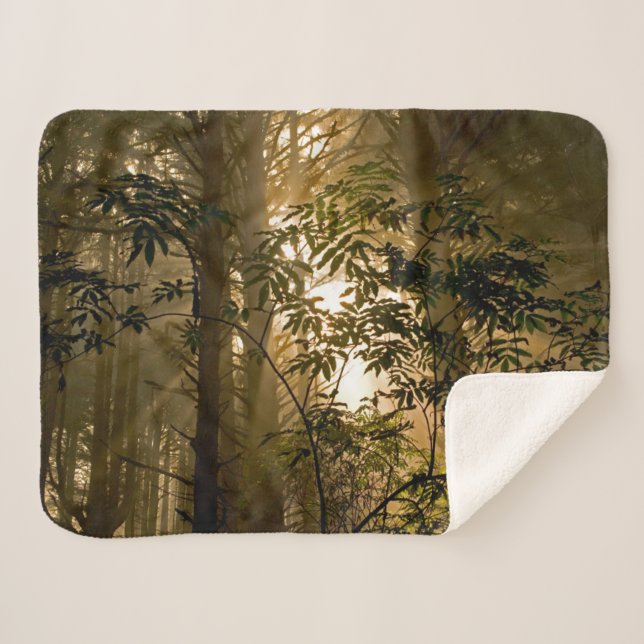 Evergreen Forest | Oregon Coast Sherpadecke (Vorderseite (Horizontal))