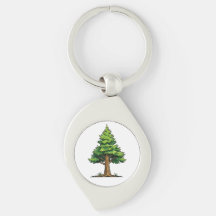 Evergreen forest