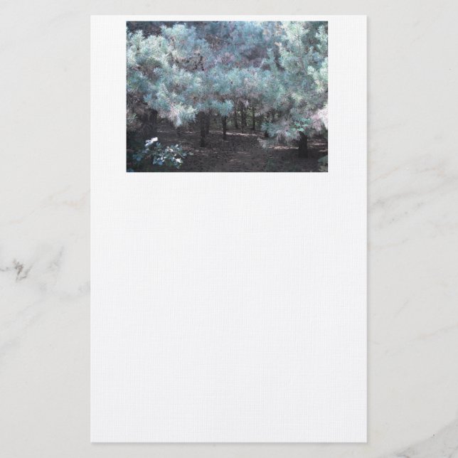 Evergreen Serenity Briefpapier (Vorderseite)