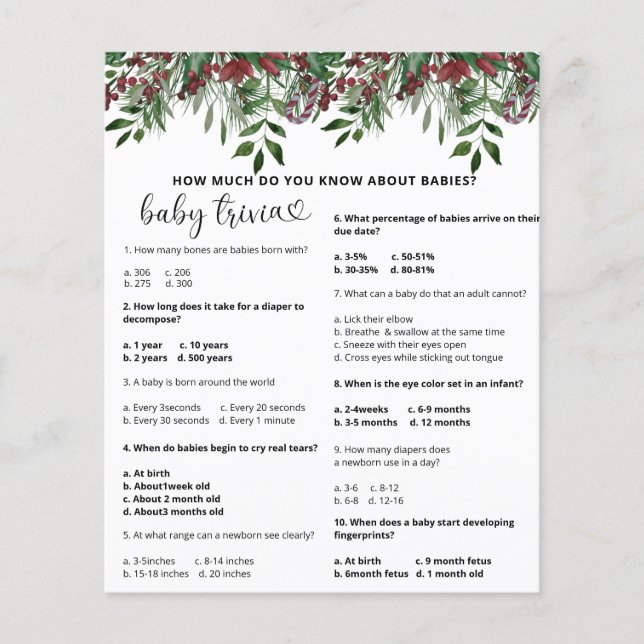 Evergreen Snow Baby Trivia | Baby Showspiel (Vorderseite)