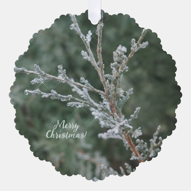 Evergreen Sparkling Frost Frost Frohe Weihnachten Ornament Karte (Vorderseite)