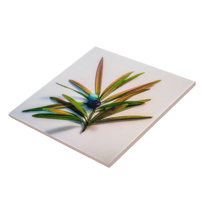Evergreen Sprig mit Berries Tile Fliese (Seite)