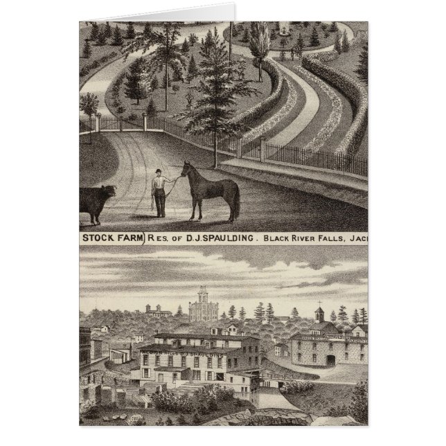 Evergreen Stock Farm, res (Vorne)