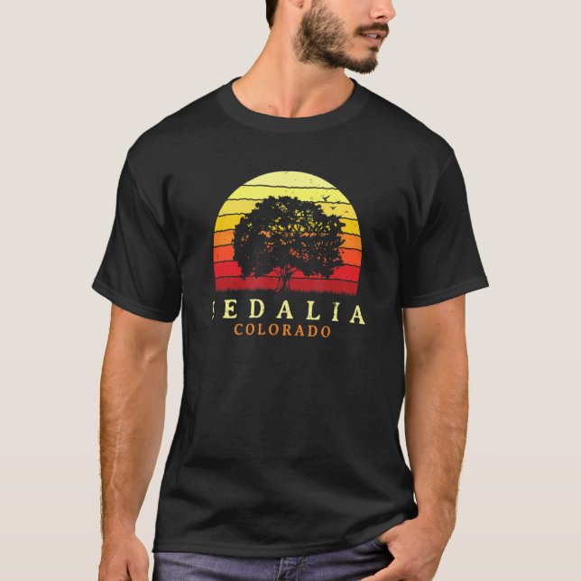 Evergreen Sunset Sedalia Olivenweg Bellinzona T-Shirt (Vorderseite)