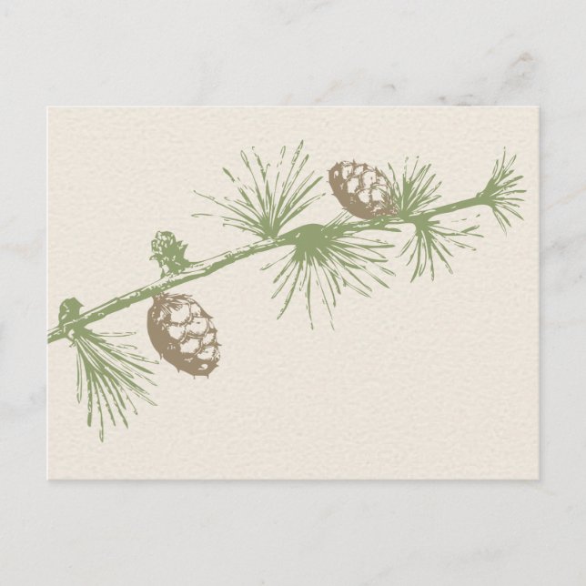 Evergreen UAWG Postcard Einladungspostkarte (Vorderseite)