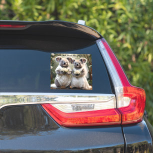"Evergreen Vows: Eine Koala-Hochzeit in Weiß" Aufkleber