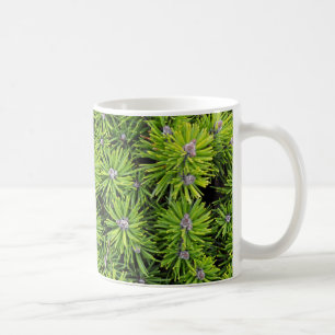 Evergreen Zweige Kaffeetasse