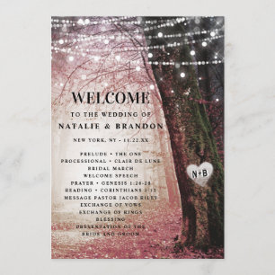 Evermore   Zeremonie des verzauberten Fairy Forest Programm