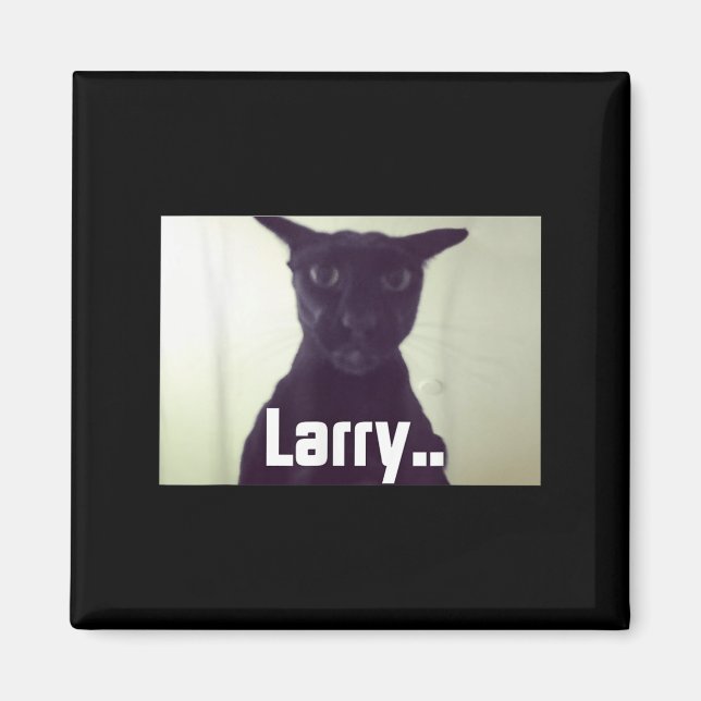 Evil Larry Meme Larry Cat Meme Verfluchte Memes Br Magnet (Vorne)