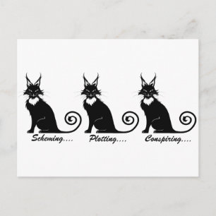 Evil Plotting Cat Trio Postkarte