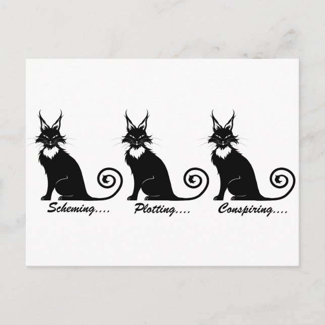 Evil Plotting Cat Trio Postkarte (Vorderseite)