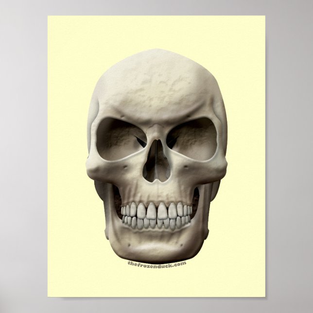Evil Skull Poster (Vorne)
