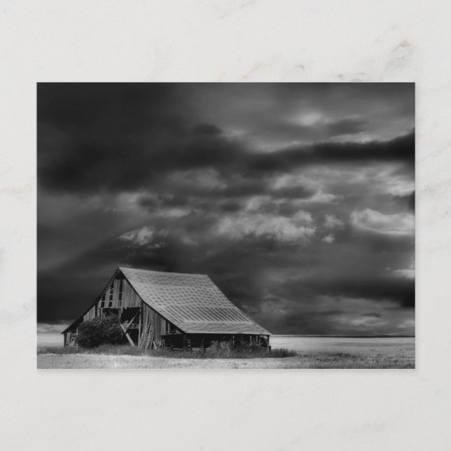 Evocative Beauty Post Card Postkarte (Vorderseite)