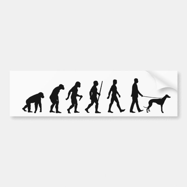 Evolution an den Greyhound-Eigentümer Autoaufkleber (Vorne)