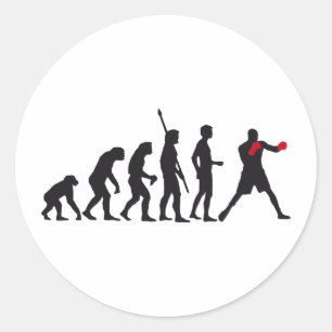 evolution boxing runder aufkleber