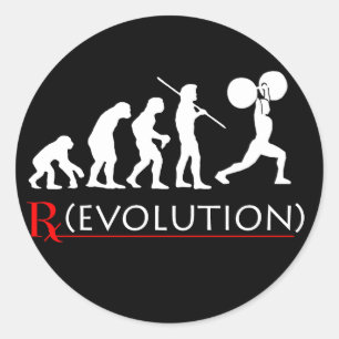 Evolution Chart Sticker