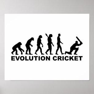 Evolution Cricket Poster