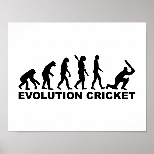 Evolution Cricket Poster (Vorne)