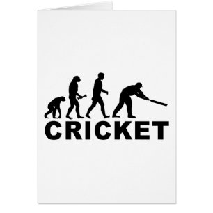Évolution de cricket