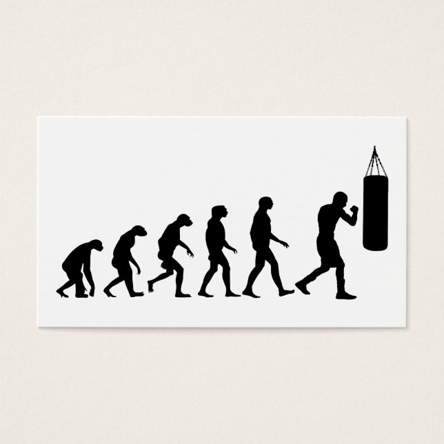 Evolution des Boxens (Vorderseite)
