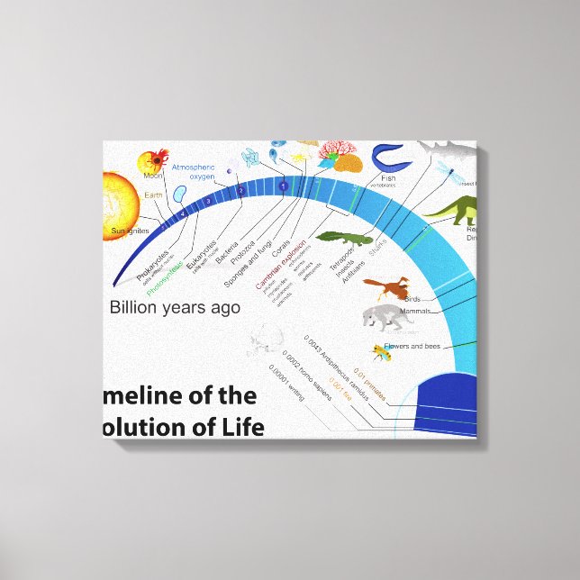 Evolution des Lebens auf der Erde Zeitdiagramm Leinwanddruck (Vorderseite)
