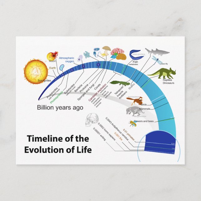 Evolution des Lebens auf der Erde Zeitdiagramm Postkarte (Vorderseite)