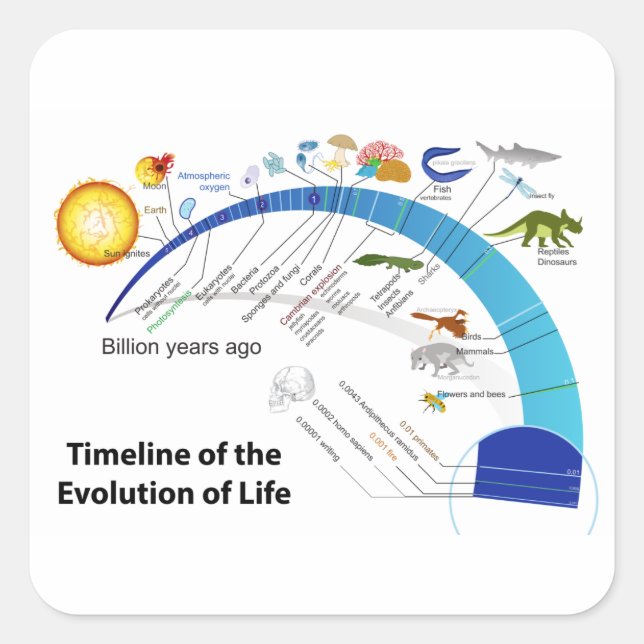 Evolution des Lebens auf der Erde Zeitdiagramm Quadratischer Aufkleber (Vorderseite)