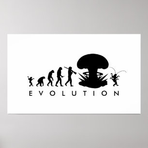 Evolution des Menschen & der Kakerlake Lustige Evo Poster