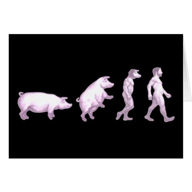Évolution des porcs (Devant horizontal)