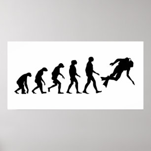 Evolution des Tauchens Poster
