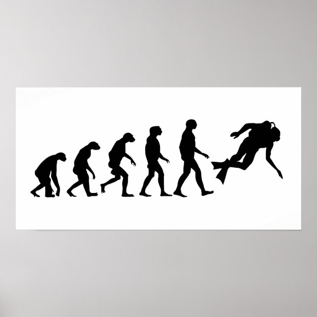 Evolution des Tauchens Poster (Vorne)