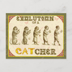 Evolution eines Catchers Postkarte