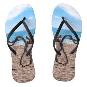 Evolution Flip Flops