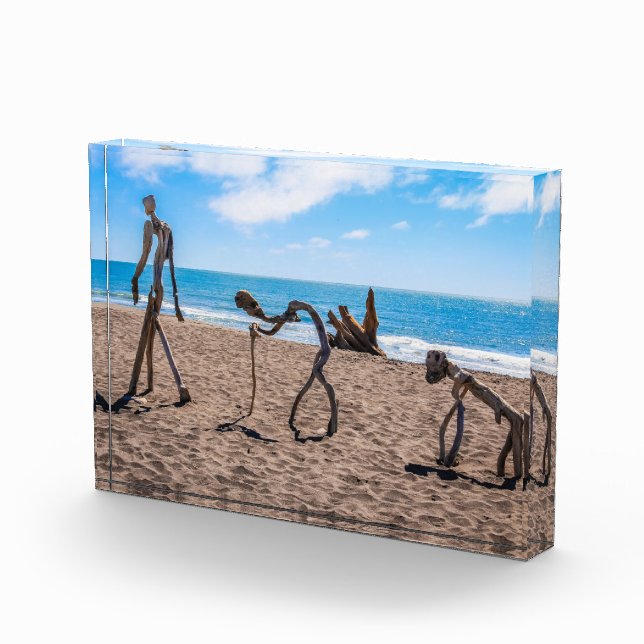 Evolution Fotoblock (Rechts)