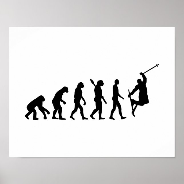 Evolution Freestyle Ski Poster (Vorne)