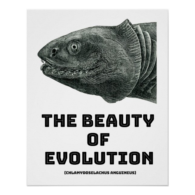 Evolution Frilled Shark Beauty Poster (Vorderseite)