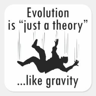 Evolution ist nur ein Theorieaufkleber Quadratischer Aufkleber