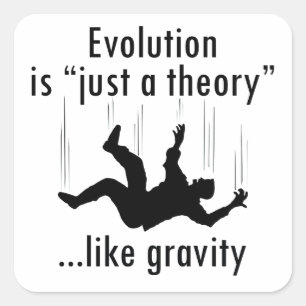 Evolution ist nur ein Theorieaufkleber Quadratischer Aufkleber