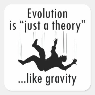 Evolution ist nur ein Theorieaufkleber Quadratischer Aufkleber