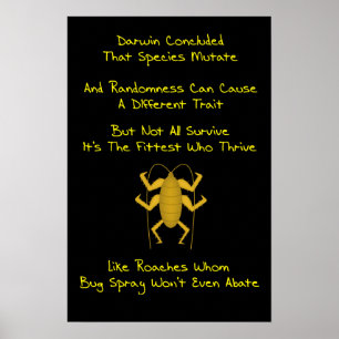 Evolution Limerick Poster