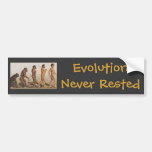 Evolution nie stillgestanden autoaufkleber