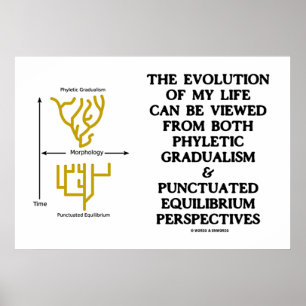 Evolution Phyletic Gradualism Punctutuated Equilib Poster