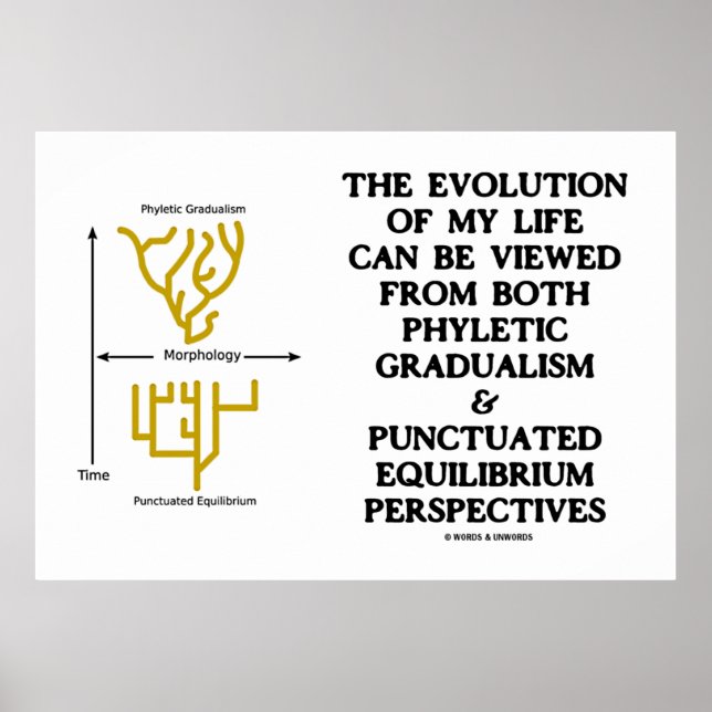 Evolution Phyletic Gradualism Punctutuated Equilib Poster (Vorne)