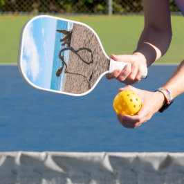 Evolution Pickleball Schläger