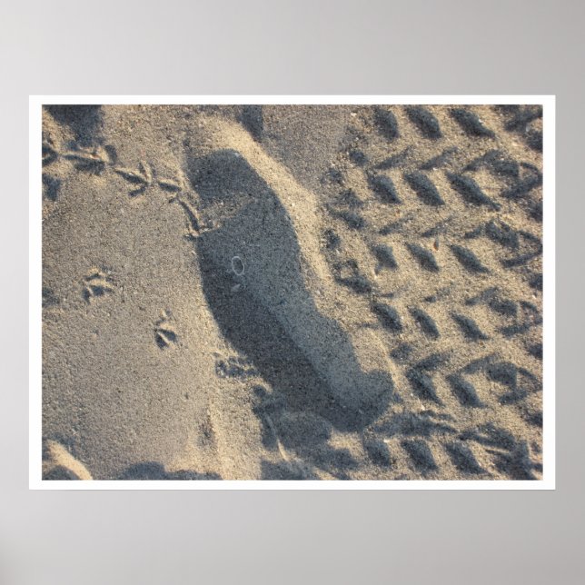 Evolution Poster (Vorne)